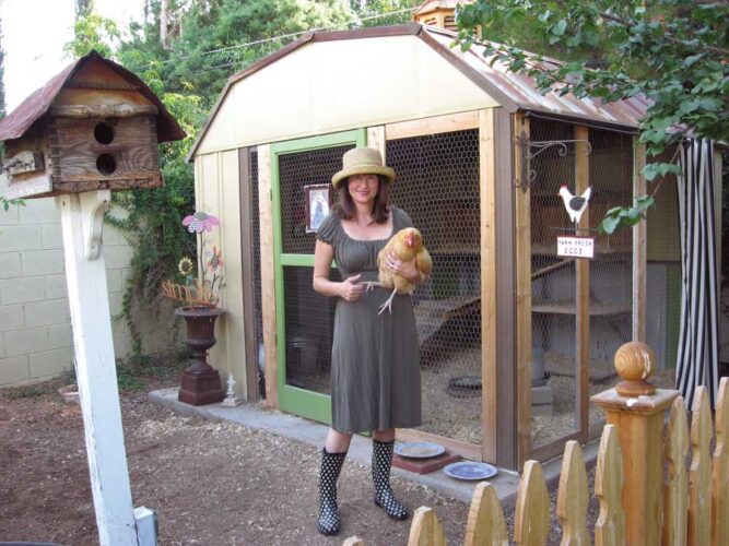 Clever ShedtoCoop Conversion Mother Earth News